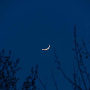 xxx免费性爱视频
